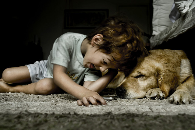 Niños y mascotas: Las responsabilidades acordes a cada edad