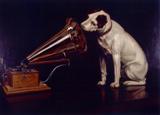 Los 40 animales: música para mascotas